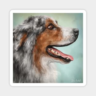 Painting of a Gorgeous Enthusiastic Australian Shepherd with Open Mouth from the Side. Magnet