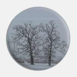 Snowy Trees Pin