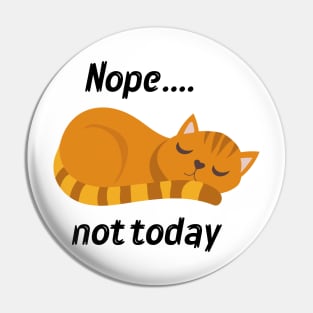 lazy cat Pin