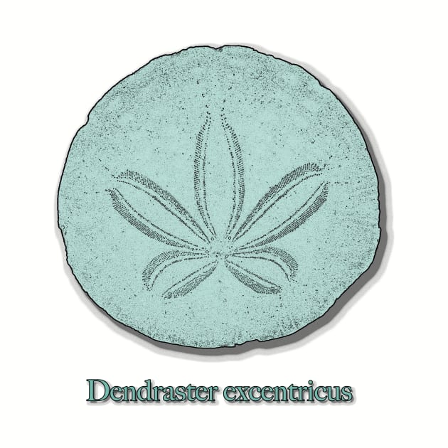 Mint Green Sand Dollar Seashell Design by StephJChild