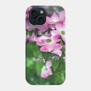 Dogwood Flowers in Spring Phone Case