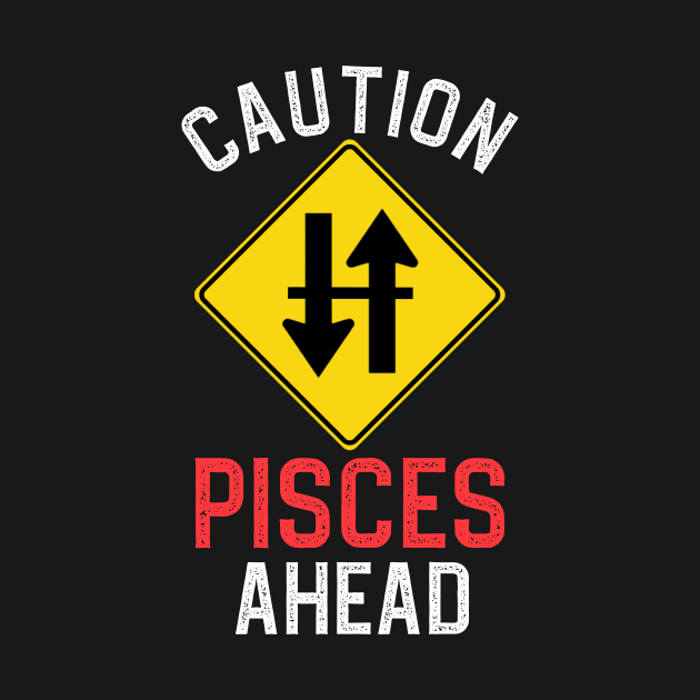 Funny Zodiac Horoscope Pisces Road Sign Traffic Signal by WitchNitch