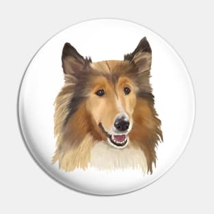 Collie on White Background Pin