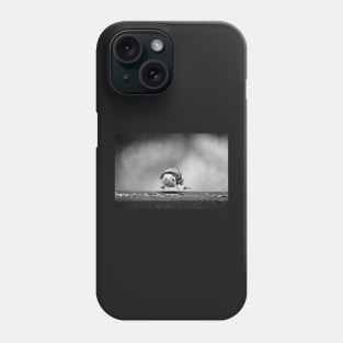 Nuthatch in midair Phone Case