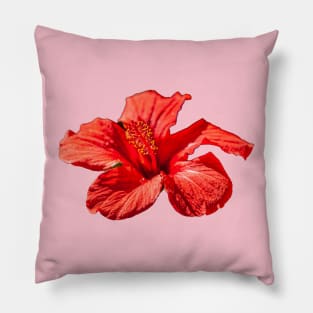 Scarlet Hibiscus Pillow