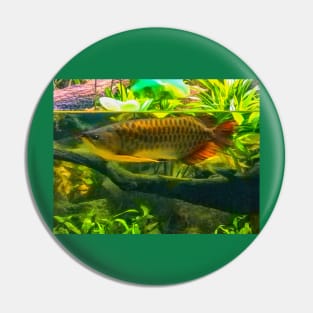 The Grumpy Arowana Pin