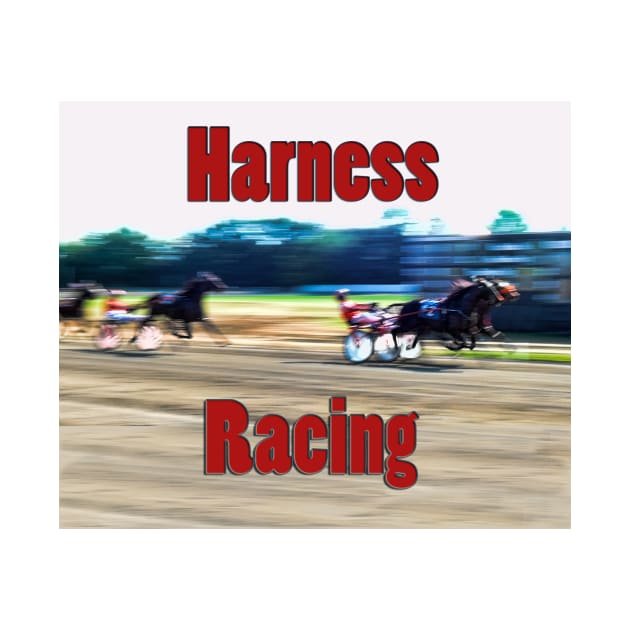 Harness Racing by Degroom