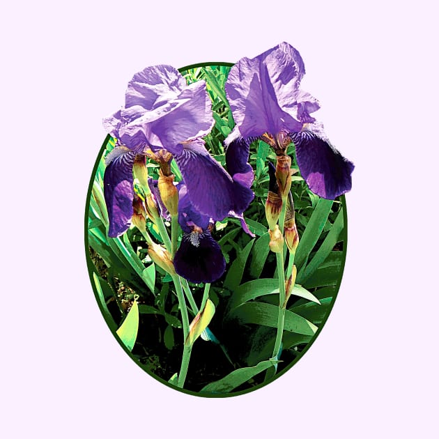 Twin Purple Irises by SusanSavad