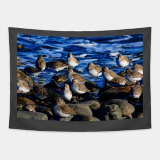 Sandpipers Tapestry