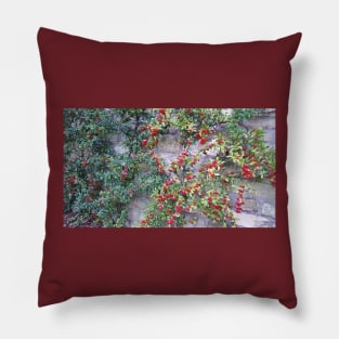 Paris Bois de Boulogne Red Berries Pillow