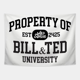 Bill & Ted University Tapestry