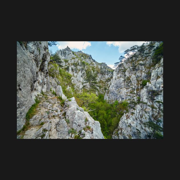 Rocky trail on mountains by naturalis