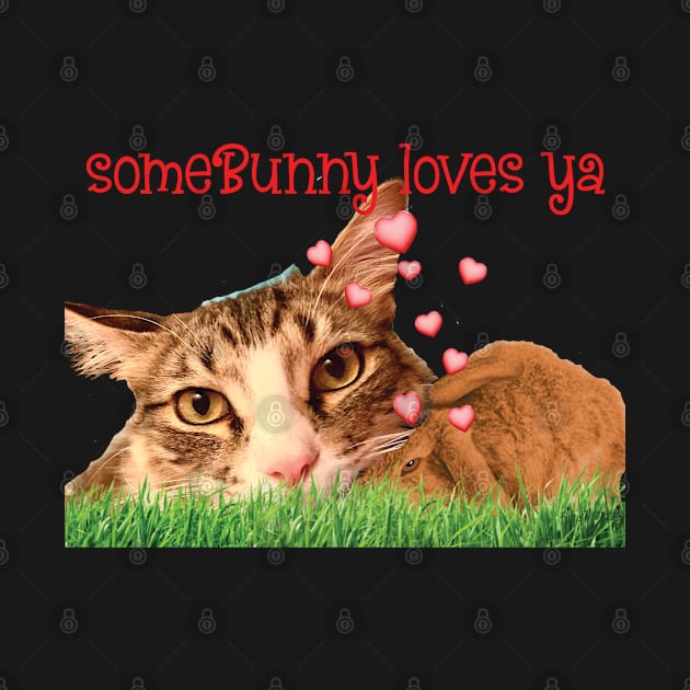 Some Bunny loves you Maine Coon cat by TanoshiiNeko