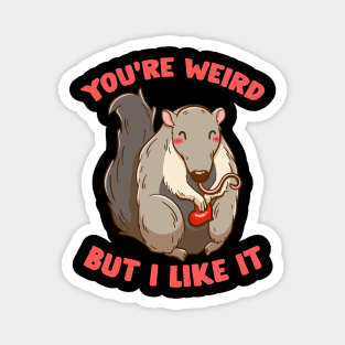 You're Weird But I Like It Cute Anteater Animal Magnet