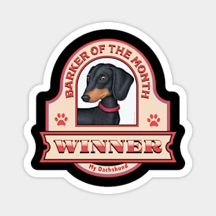 Dachshund-Barker of the Month Winner Magnet