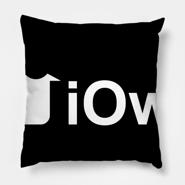 iOwn Pillow by Five Pillars Nation