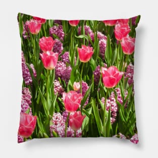 Pink Tulips, Keukenhof Tulip Festival, Holland Pillow