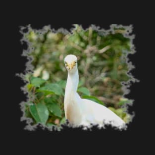 Cattle Egret T-Shirt