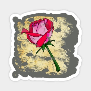 Vintage Rose - Valentines Magnet