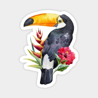 Watercolor Toucan Magnet