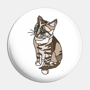 Brown Tabby Kitten Side Eying You Pin