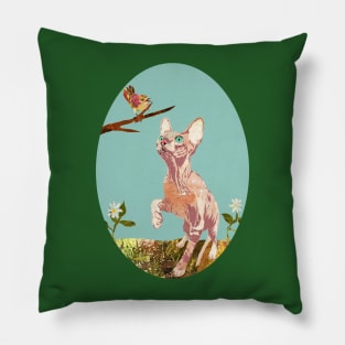 Curious Little Hairless Sphynx Kitten Pillow