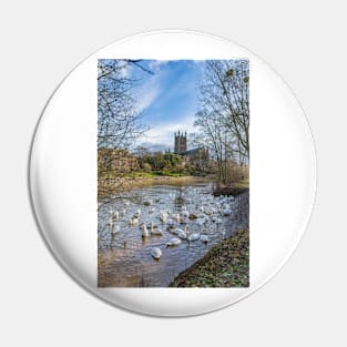 Swans and Cathedral, Worcester Pin