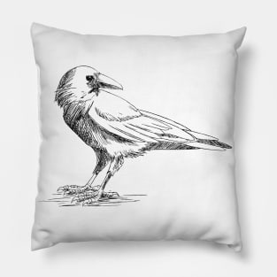 Vintage Crow Pillow