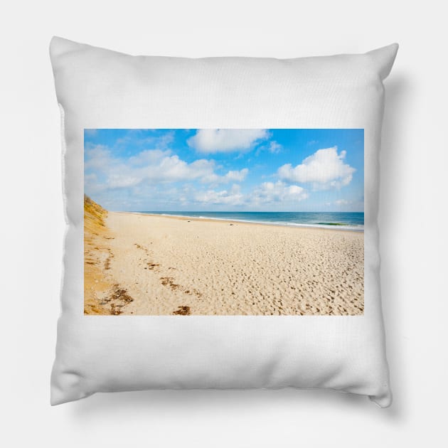 Nauset Beach,  Seashore along beach with view to horizon. Cape Cod, USA.  imagine this on a  card or gracing your room as wall art fine art canvas or framed print on your wall Pillow by brians101