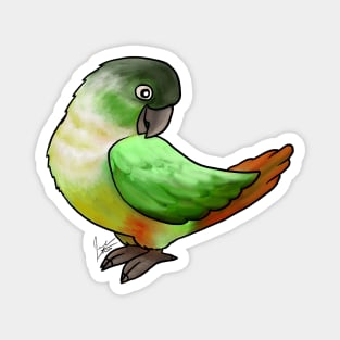 Bird - Conure - Green Cheeked Conure Magnet