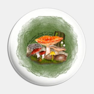 Raindrops Bring Mushrooms and Moss Pin