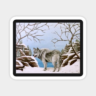 Wolf in Winter Magnet