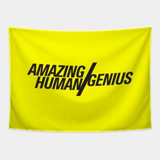 Amazing Human / genius  |  Brooklyn Nine Nine Tapestry