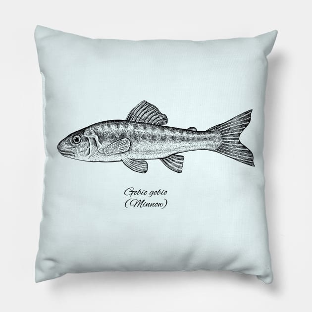 GOLIO Pillow by eugeniahauss