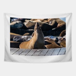 Tan Sea Lion Tapestry