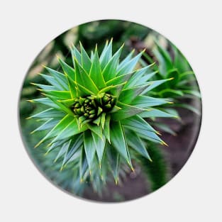 Monkey Puzzle Tree Branch Pin