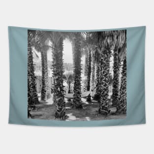 Hammock in the palm trees. Tapestry