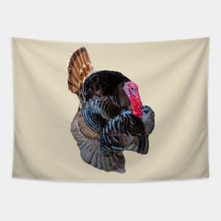 Strutting Turkey Tapestry