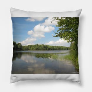 Big Salmon, Lake, Frontenac, Provincial, Park No.3 Pillow