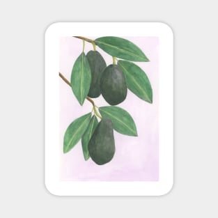 Avocado Magnet