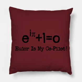 Euler Math equation Pillow