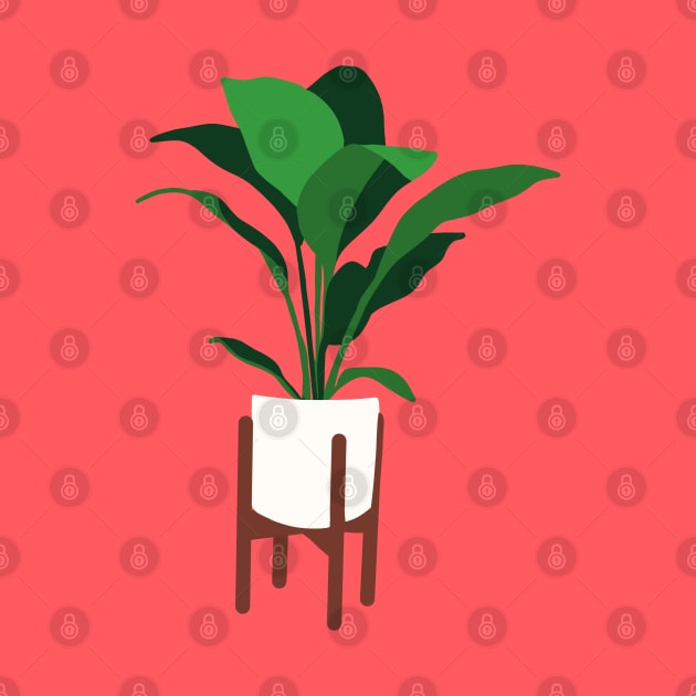 My favorite houseplant by THESOLOBOYY