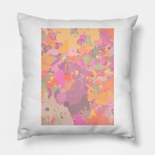 Multicolored Pillow