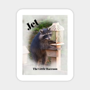 Jet, The Little Raccoon Magnet