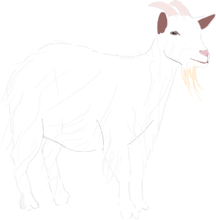 Old Goat Magnet