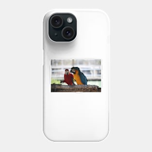 Conversation Between Macaws Phone Case