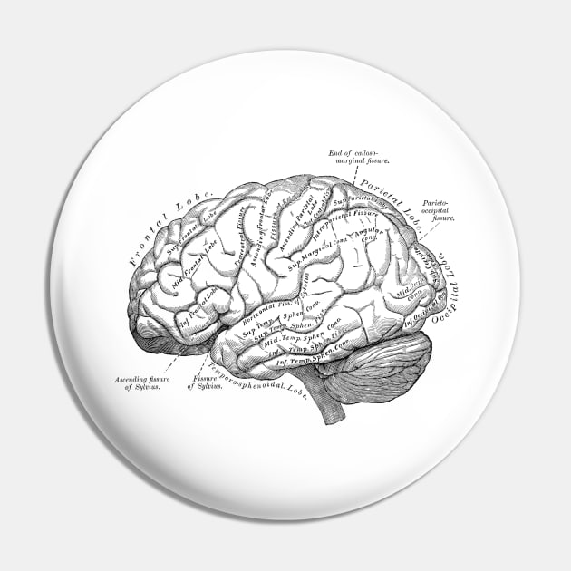 Human Body - Brain vol.3 Pin by be yourself. design