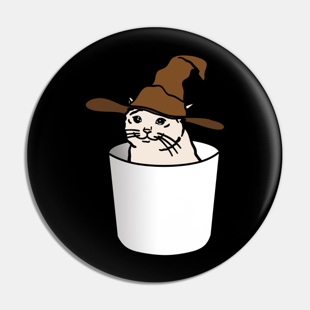 Crying Cat Meme In A Wizard Hat In A Glass Crying Cat Meme Pin