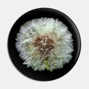 Dandelion Clock Pin