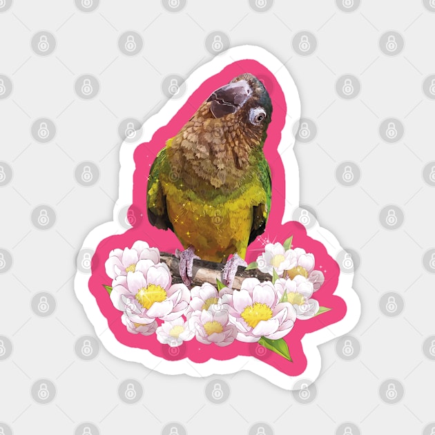 Parakeet Magnet by obscurite